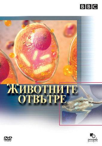 Animals The Inside Story dizi afişi