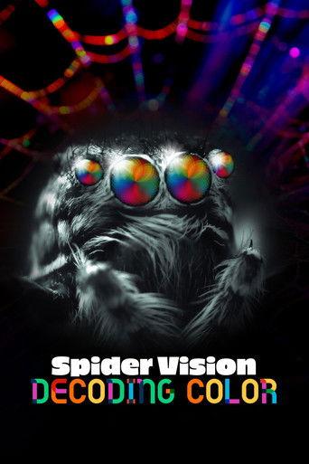 Spider Vision: Decoding Color film afişi