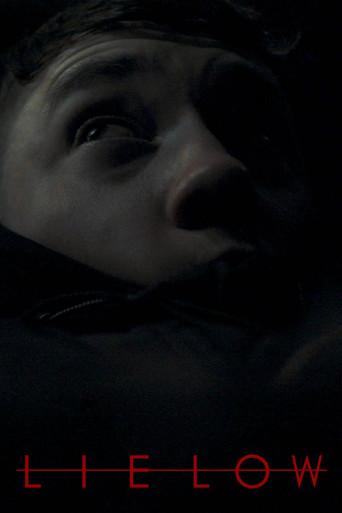 Lie Low film afişi