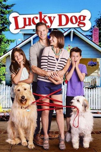 Lucky Dog film afişi