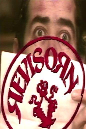 Revisorn film afişi