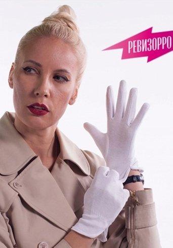 Revizorro dizi afişi