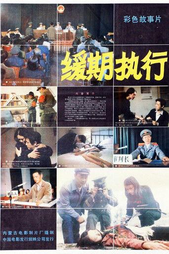 缓期执行 film afişi