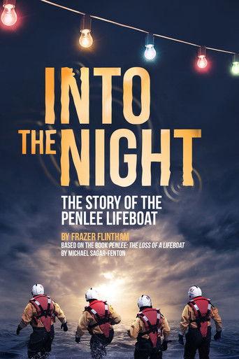 Into the Night film afişi