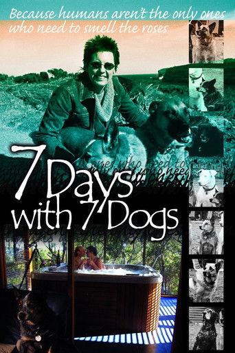 7 Days with 7 Dogs film afişi