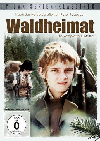 Waldheimat dizi afişi