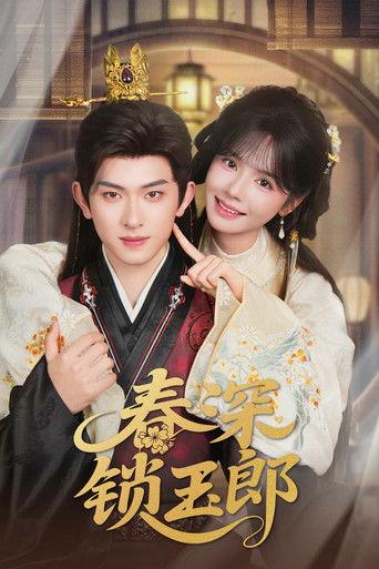 春深锁玉郎 dizi afişi