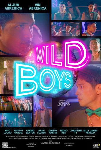 WILD BOYS film afişi