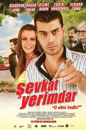 Şevkat Yerimdar film afişi
