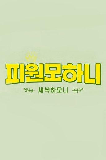 Saessak Harmony dizi afişi