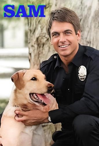 Sam dizi afişi