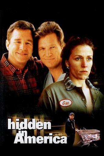 Hidden in America film afişi