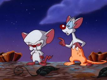 A Pinky And The Brain Halloween