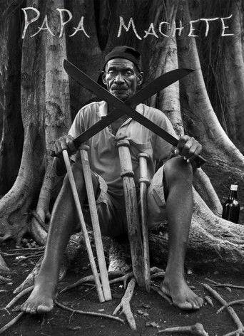 Papa Machete film afişi