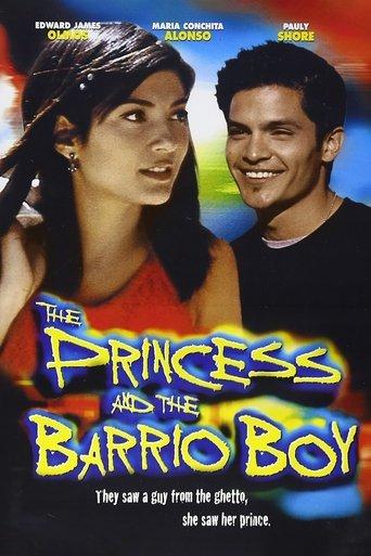The Princess and the Barrio Boy film afişi