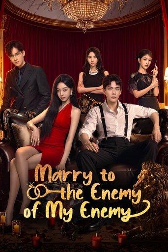 Marry to the Enemy of My Enemy dizi afişi