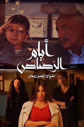 Days of Bullets film afişi