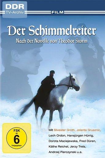 Der Schimmelreiter film afişi
