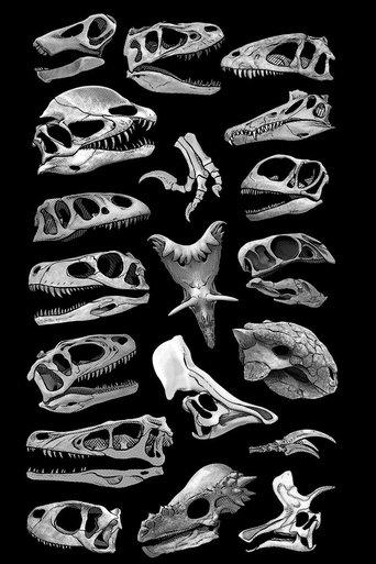 Flowervale Street film afişi