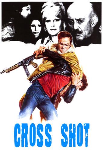 Cross Shot film afişi