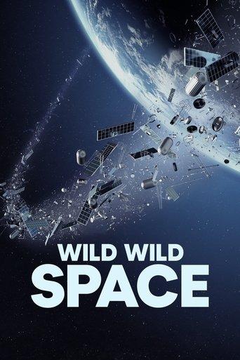 Wild Wild Space film afişi
