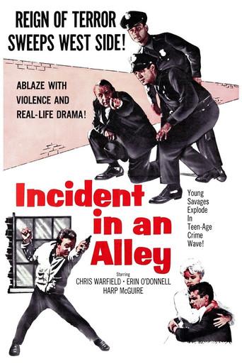 Incident in an Alley film afişi