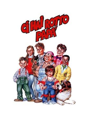 Ci hai rotto papà film afişi
