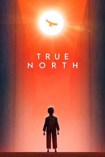 True North film afişi