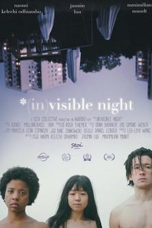 *(In)Visible Night film afişi