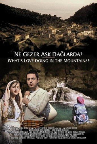 Ne Gezer Aşk Dağlarda? film afişi