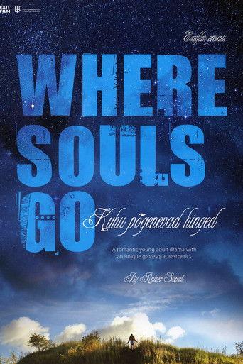 Where Souls Go film afişi