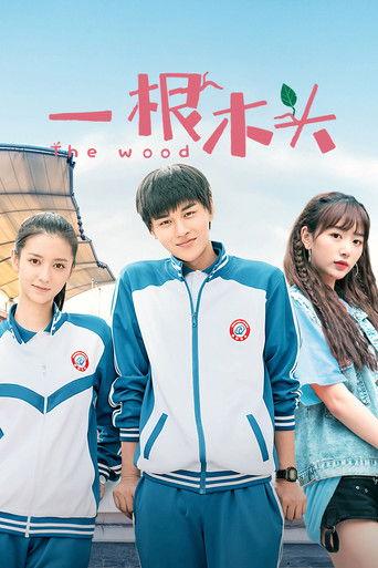 The Wood dizi afişi