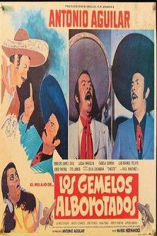 Los gemelos alborotados film afişi