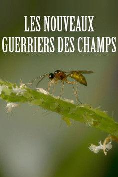 Les nouveaux guerriers des champs film afişi