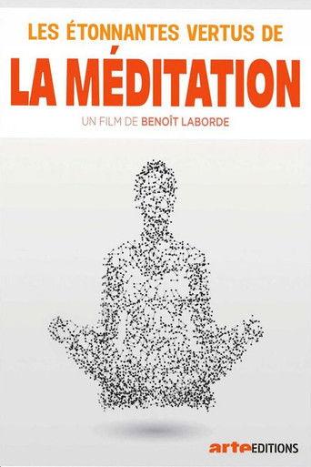 Les étonnantes vertus de la méditation film afişi