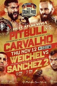 Bellator 252: Pitbull vs. Carvalho film afişi
