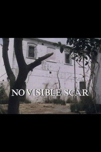 No Visible Scar film afişi