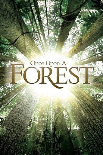 Once Upon a Forest film afişi