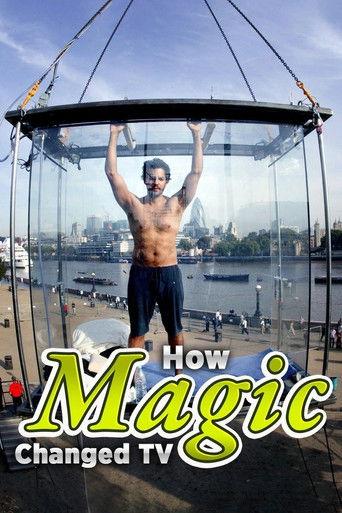 How Magic Changed TV film afişi