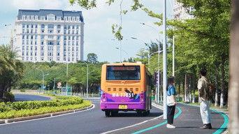 The Explosion of Bus No. 45