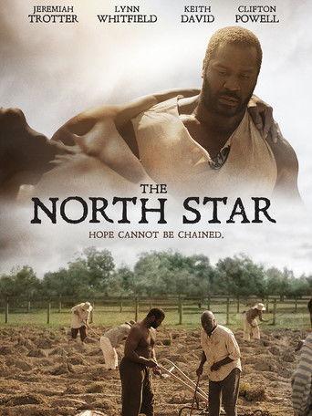 The North Star film afişi