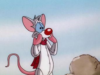 The Megalomaniacal Adventures of Brainie The Poo