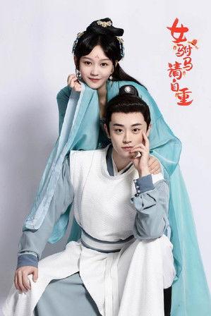 女驸马请自重 dizi afişi