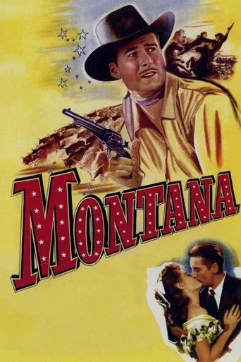 Montana film afişi