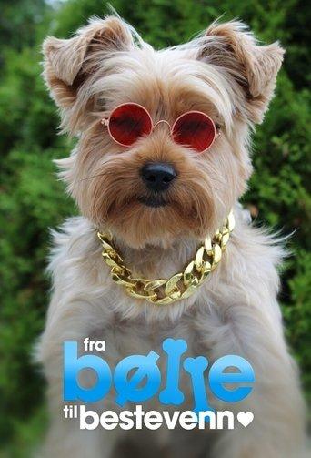 From bully to best friend dizi afişi