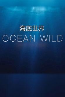 Ocean Wild dizi afişi