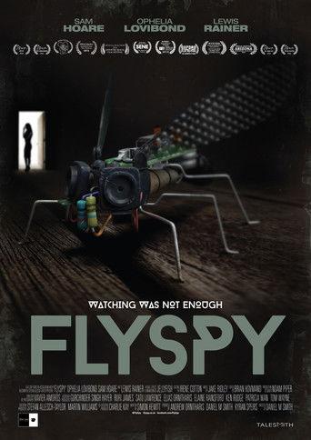 Flyspy film afişi