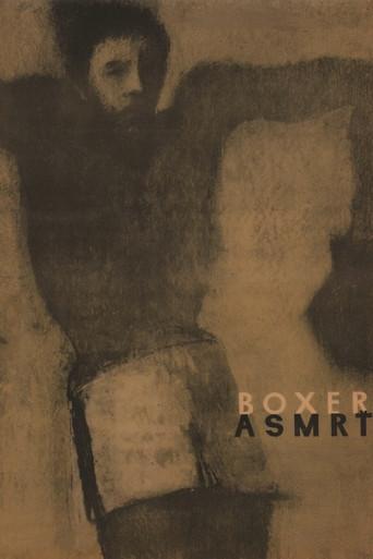 The Boxer and Death film afişi