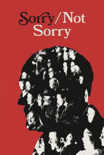 Sorry/Not Sorry film afişi