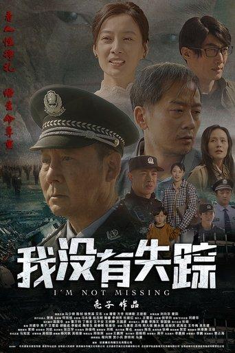 我没有失踪 film afişi
